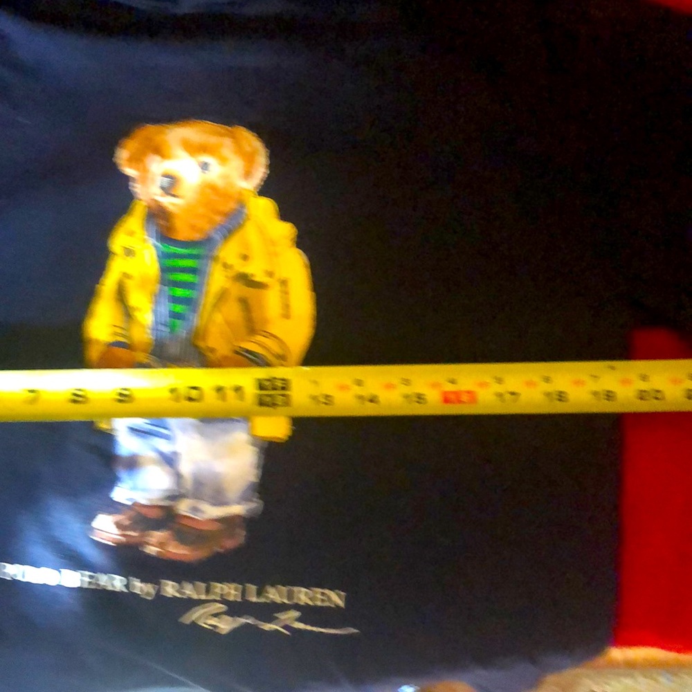Polo Ralph Lauren polo bear long sleeve hoodie t-shirt